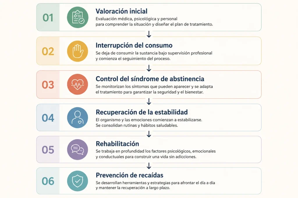 Fases del proceso de desintoxicacion